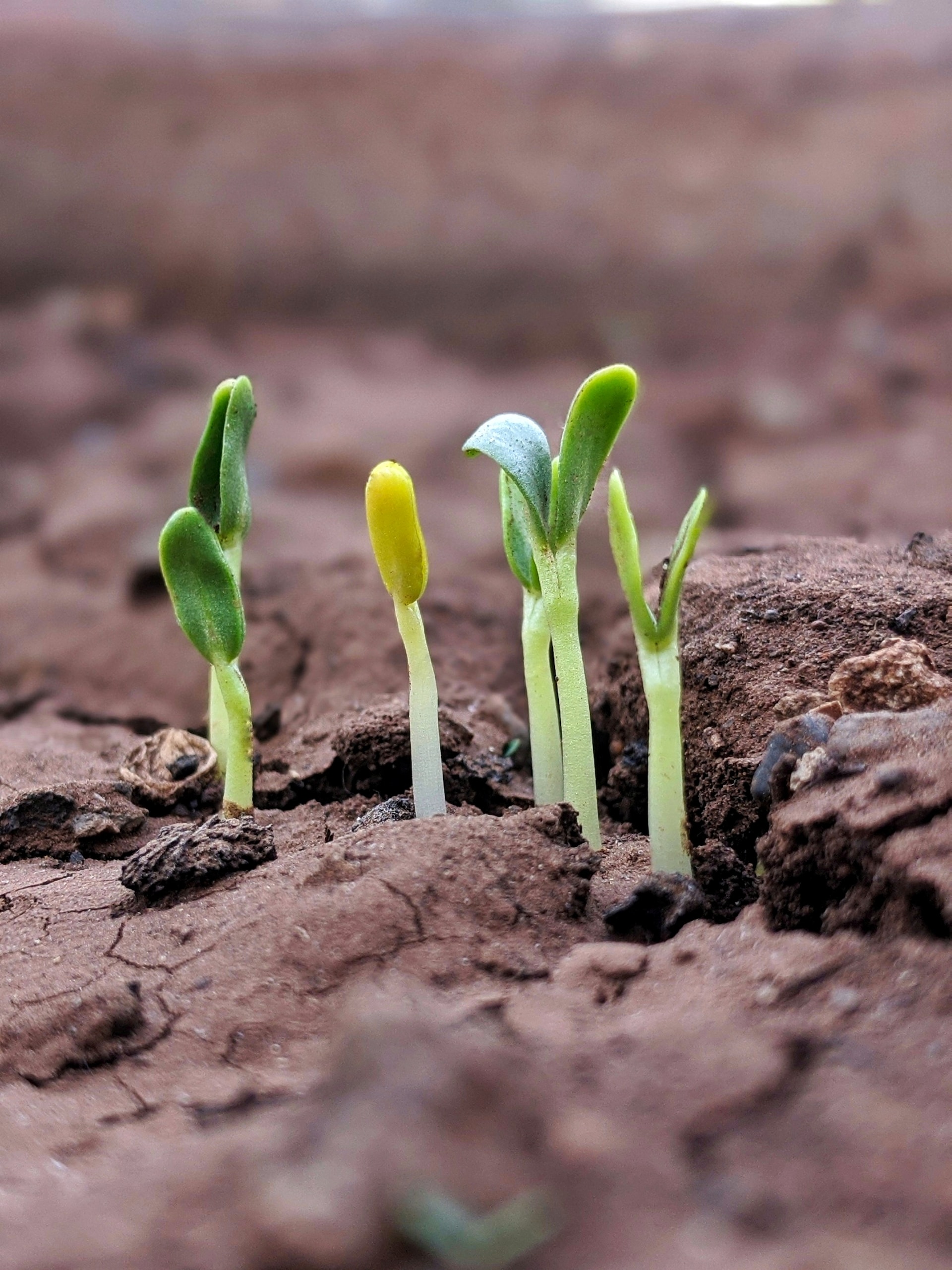 Beyond Addiction: Nurturing Success Stories in Recovery Residences